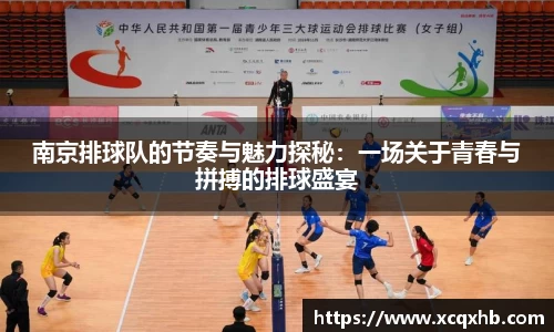 南京排球队的节奏与魅力探秘：一场关于青春与拼搏的排球盛宴
